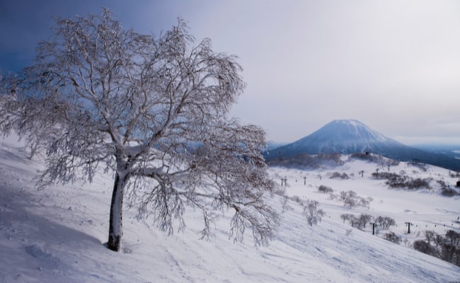 Best Ski Resorts in the World - Best Ski Resorts in Japan