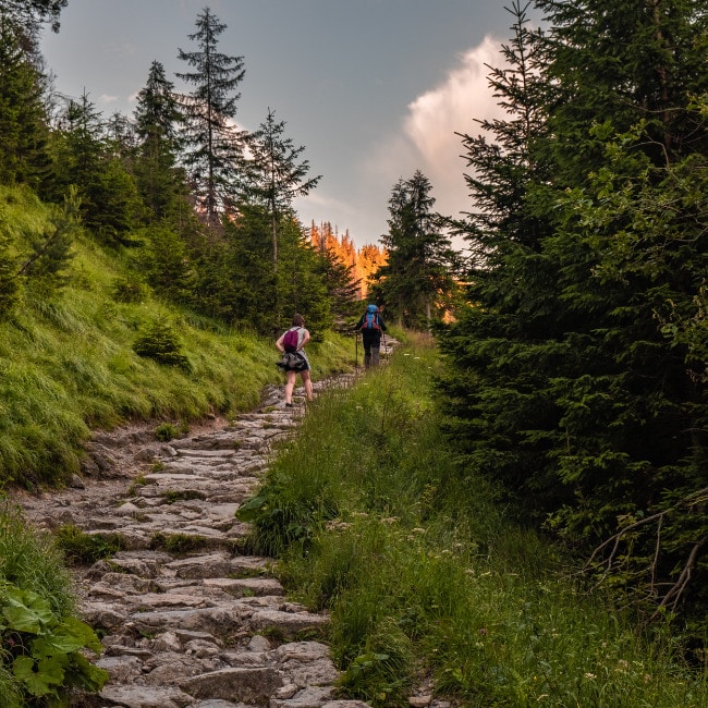 Hiking For Beginners - Hiking Trail Etiquette