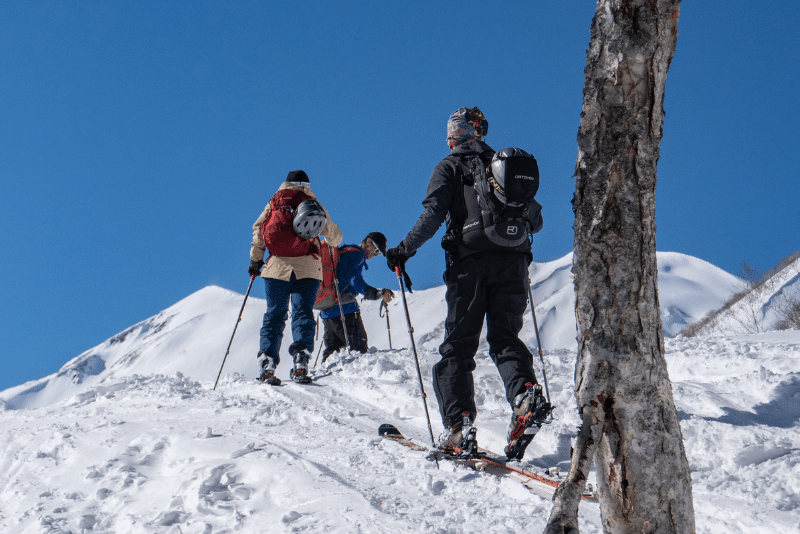 How to Choose Skis - Touring Skis