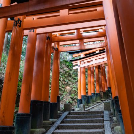 hiking in Japan - Fushimi Inari pilgrimage circuit