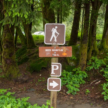 Hiking Safety Tips - Stay on the trail